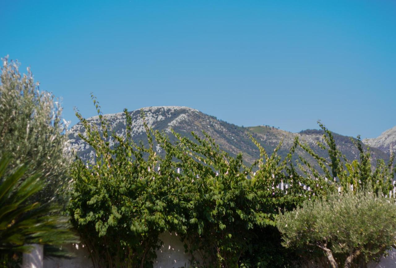 Villa Donna Fausta Agerola Zewnętrze zdjęcie