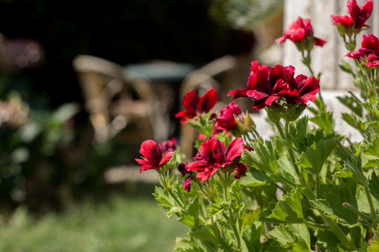 Villa Donna Fausta Agerola Zewnętrze zdjęcie